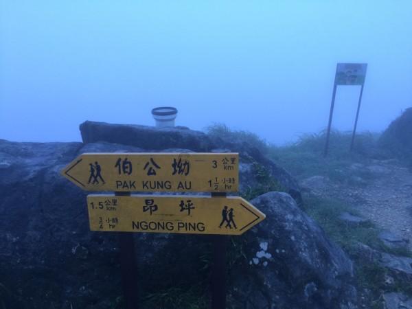 hahabetcom官网星辰大海